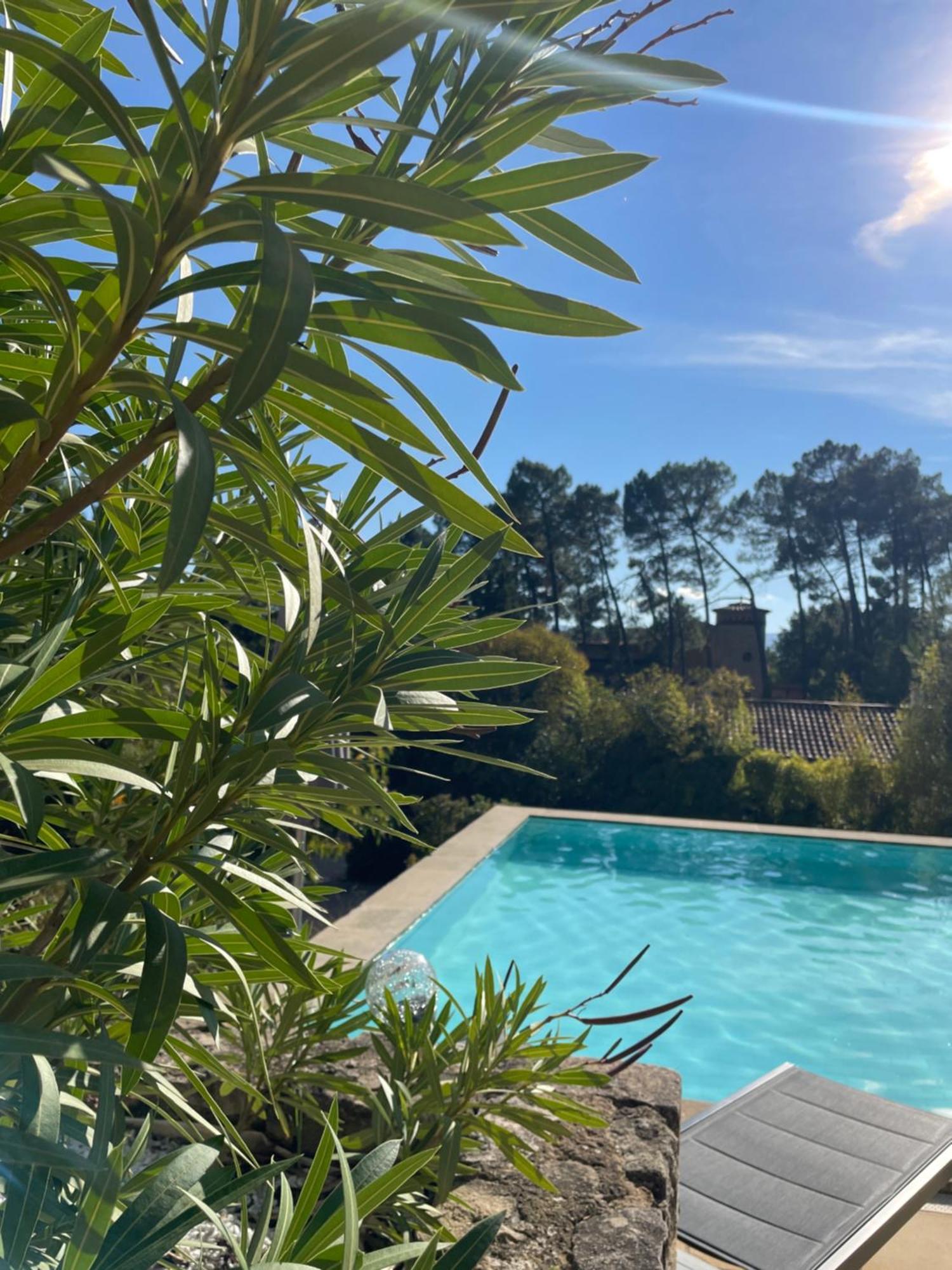 O Coeur Des Ocres Lägenhet Roussillon en Isere Exteriör bild