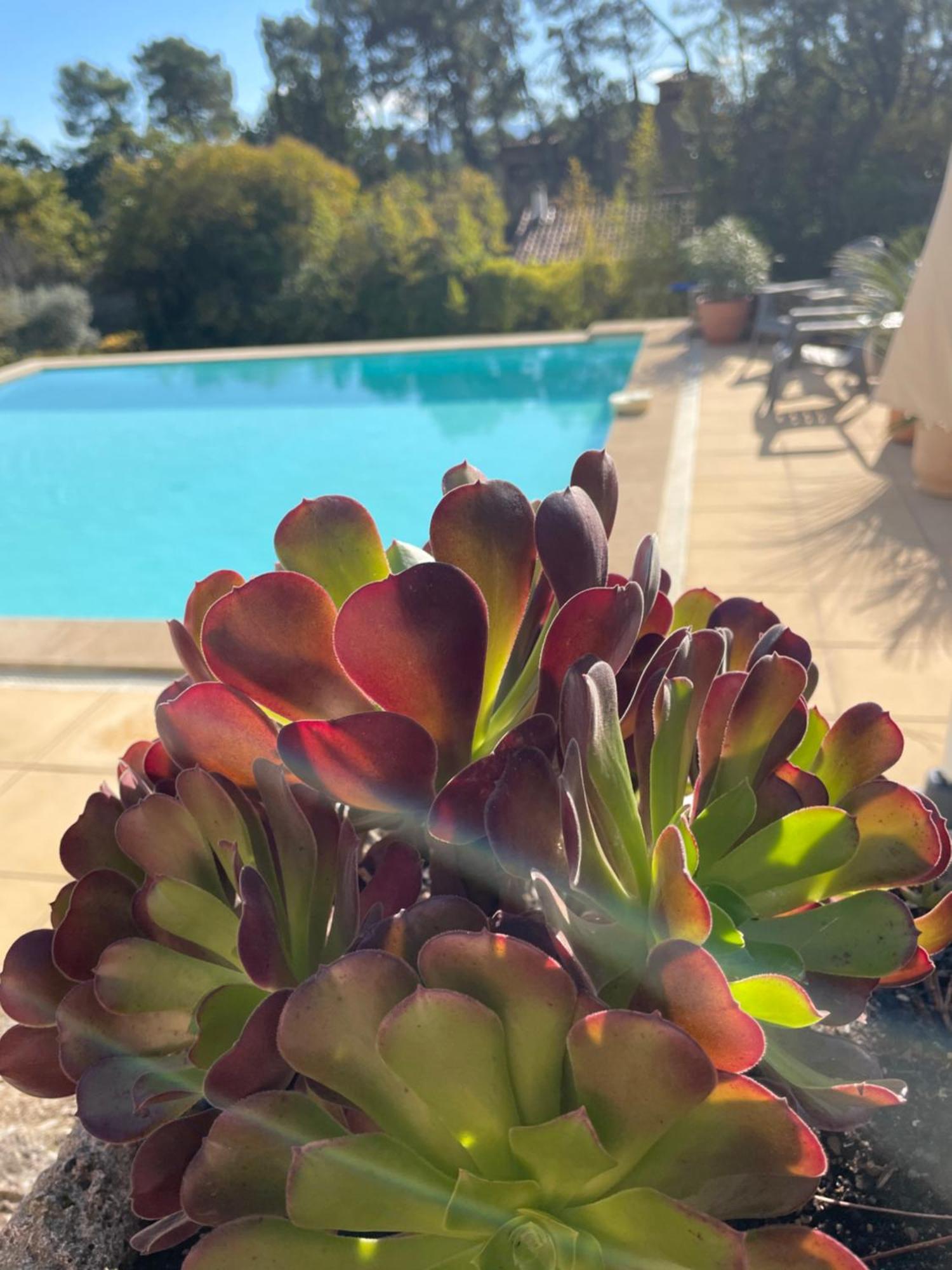 O Coeur Des Ocres Lägenhet Roussillon en Isere Exteriör bild